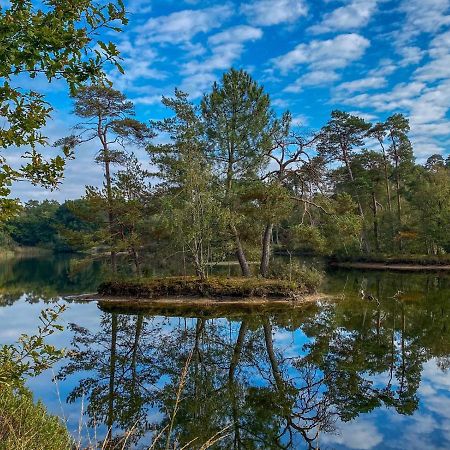 Bospareltjes Luxe Chalets Alleen Voor Recreatie Oisterwijk Ngoại thất bức ảnh